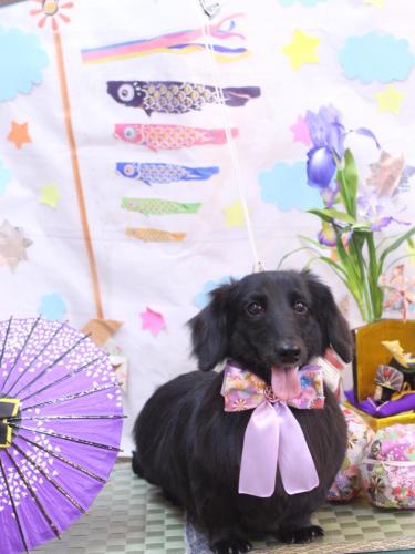 20240514りあんくん